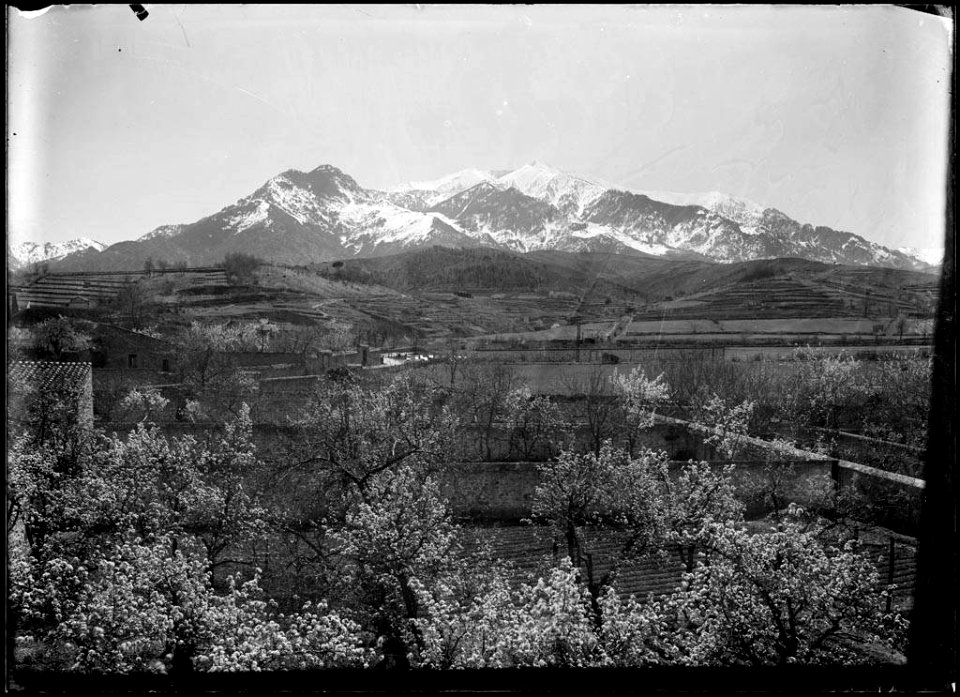 El Canigó des de Prada de Conflent (AFCEC SOLER D 2085bis3)
