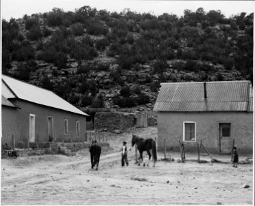 El Cerrito, San Miguel County, New Mexico. Buildings are of many different shapes and sizes. Notic . . . - NARA - 521152