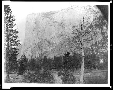 El Capitan, Yosemite National Park, Calif. LCCN95514073