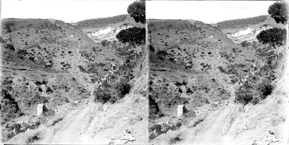 El camí de Vista Rica amb unes cases al fons