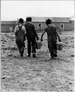 El Cerrito, San Miguel County, New Mexico. Another regular chore is carrying water to the house. E . . . - NARA - 521193