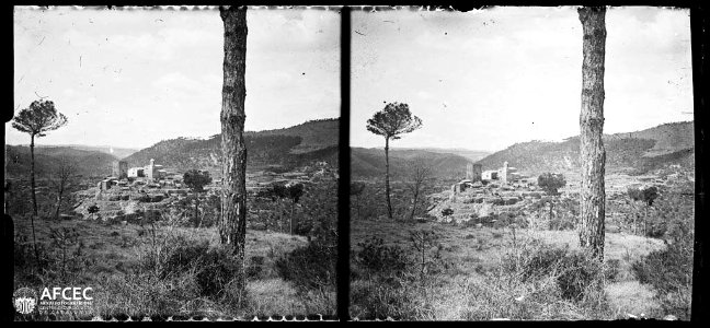 El castell de Riner i l'església de Sant Martí des de la rodalia amb un arbre en primer terme
