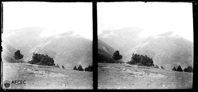 El collet de les Barraques amb alguns arbres al voltant i muntanyes al fons