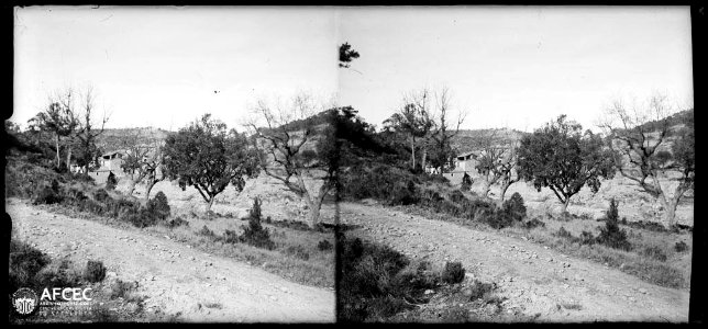 El molí de Salo vist entre uns arbres des d'un camí