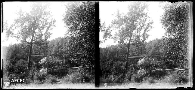 El molí de Surroca voltat de bosc a la rodalia de Camprodon