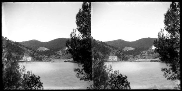 El pantà de Vallvidrera amb l'edifici de Vila Joana vist entre unes branques