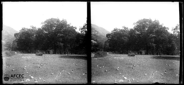 El pla de Plansesilles voltat de bosc