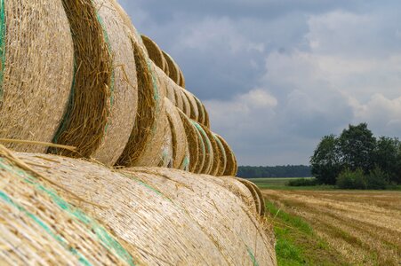 Round bales straw bales stubble