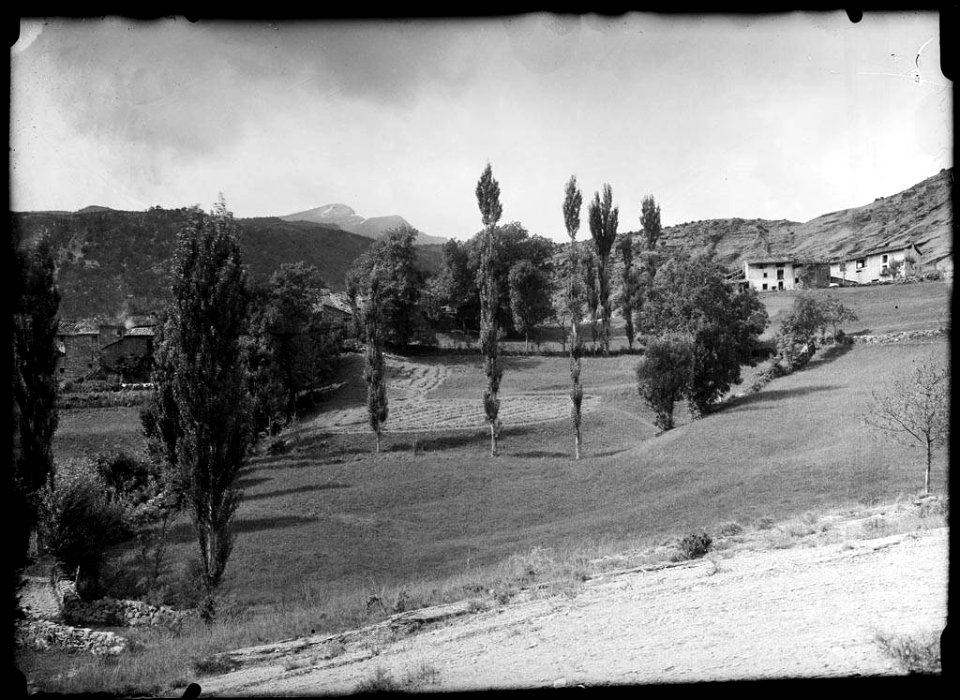 El poble de Seira amb alguns camps i arbres en primer terme
