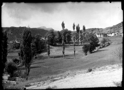 El poble de Seira amb alguns camps i arbres en primer terme