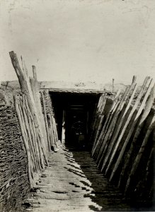 Elektrische Kraftanlage im Stellungsabschnitt des ersten Bataillons des Infanterieregimentes 75 beim Abschnitt Kreuz 363, südlich von Gebrow, aufgenommen am 2. Juni 1916 (BildID 15541967)