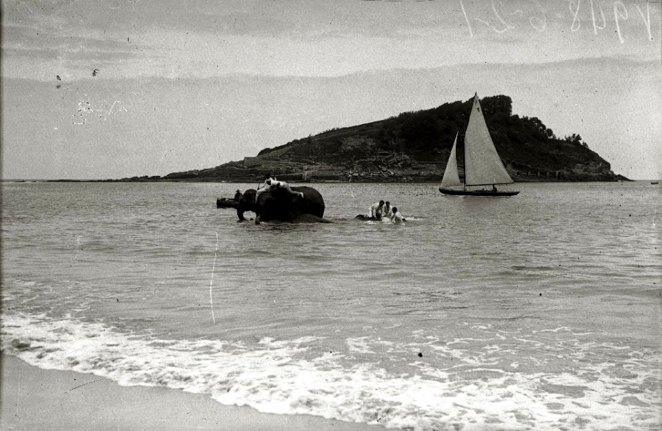 Elefantes del circo Kroner en la playa de la Concha (3 de 5) - Fondo Car-Kutxa Fototeka
