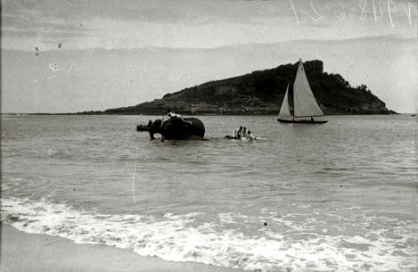 Elefantes del circo Kroner en la playa de la Concha (3 de 5) - Fondo Car-Kutxa Fototeka