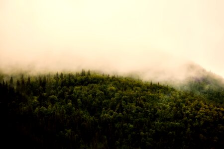 Clouds landscape forest