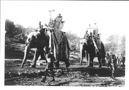 Elephant procession to Sanchi Tope in Sanchi, Madhya Pradesh
