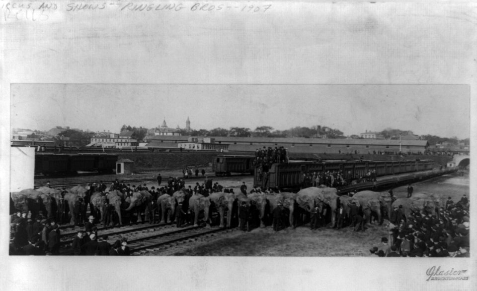 Elephants from Ringling Bros.-Circus, trains and crowd of people LCCN96524890