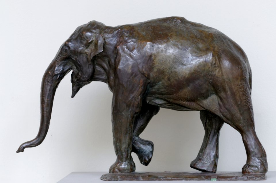 Elephant Bugatti MBA Rennes 1919.83.1