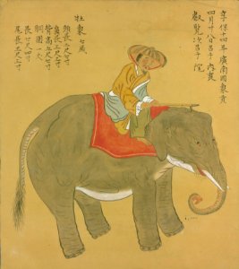 Elephant came to Kyoto, Japan from Vietnam in 1729