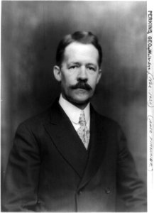 George Walbridge Perkins, American financier, half-length portrait, facing front LCCN90707053