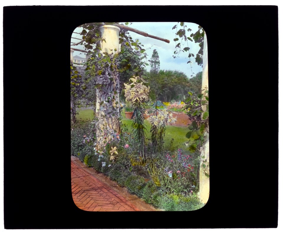 George Warrington Curtis house, Southampton, New York. Lilies by pergola LCCN2008675724