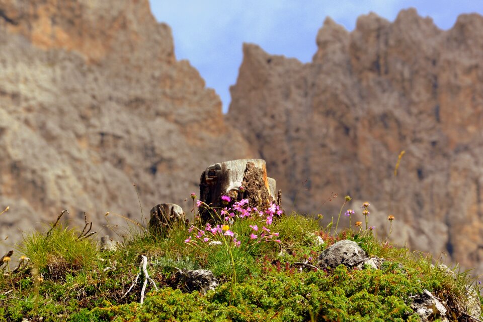 Dolomites mountain nature