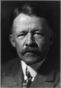 George Walbridge Perkins, 1862-1920, head and shoulders portrait, facing front LCCN2005683695