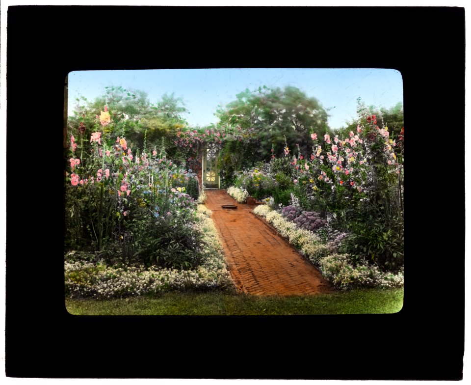 George Warrington Curtis house, Southampton, New York. Pathway LCCN2007685930