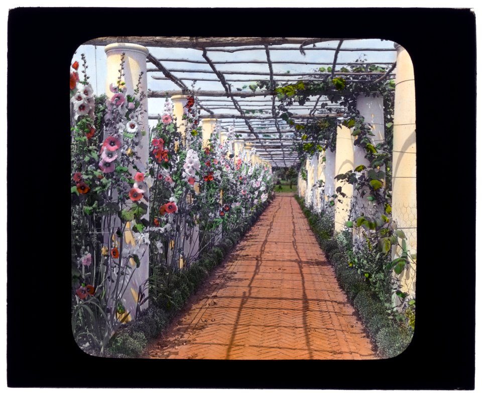George Warrington Curtis house, Southampton, New York. Pergola LCCN2008675706