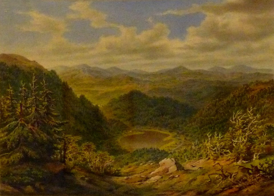 Georges Osterwald-Vue du lac du Ballon (2)