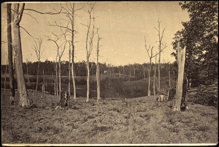 Georgia, Resacca, Battle ground of - NARA - 533392