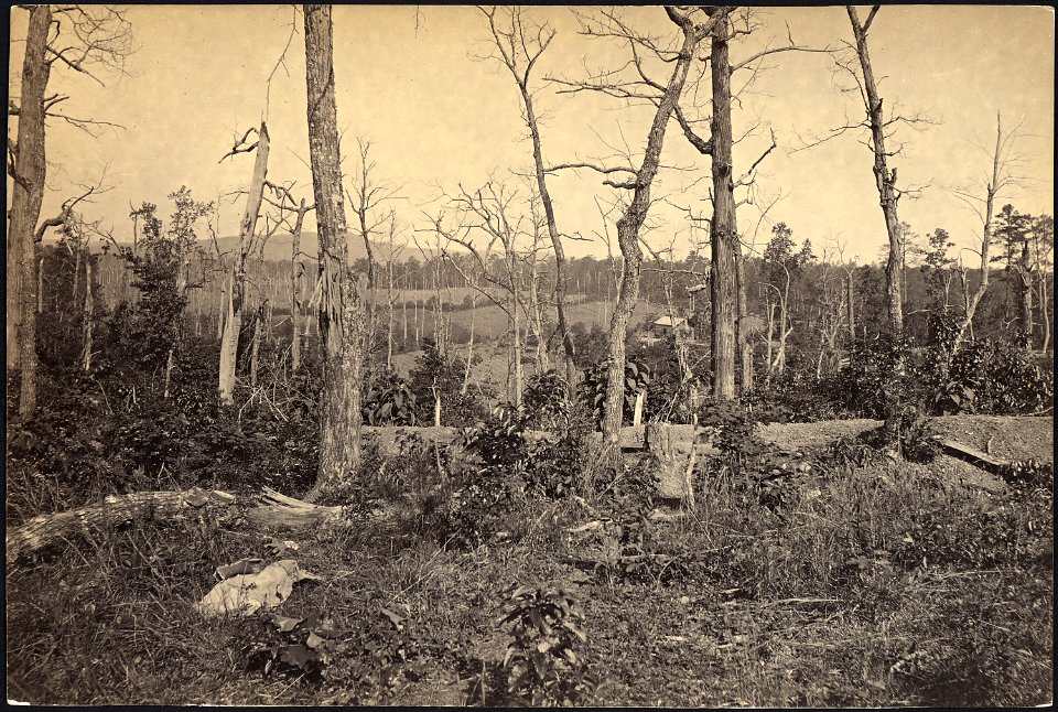 Georgia, Resacca, Battle ground of - NARA - 533394