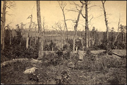 Georgia, Resacca, Battle ground of - NARA - 533394