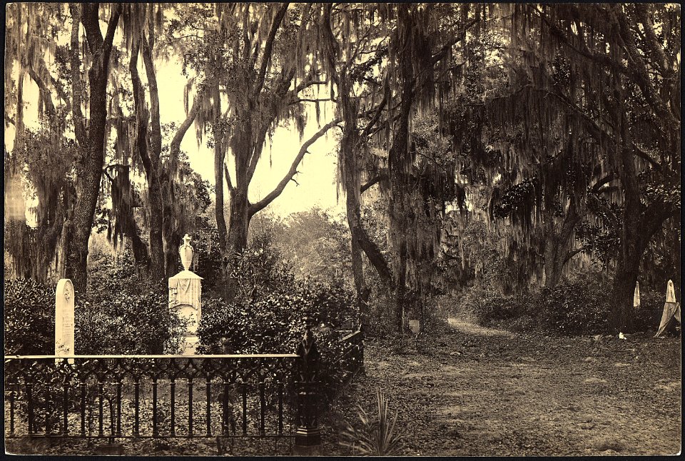 Georgia, Savannah, Buen-Ventura - NARA - 533421