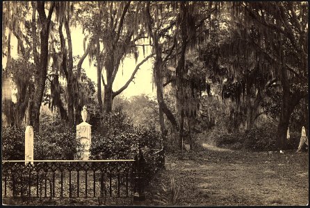 Georgia, Savannah, Buen-Ventura - NARA - 533421