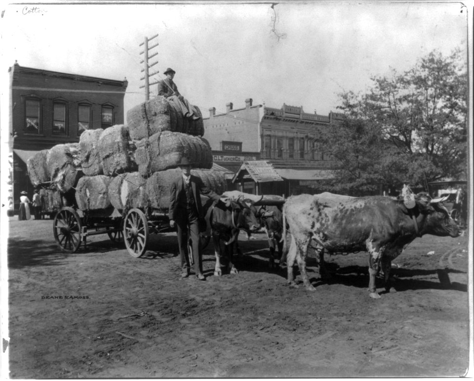 Georgia Farmer, Griffin, GA LCCN2012647873