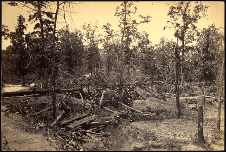 Georgia, Atlanta Battlefield, July 22, 1864 - NARA - 533409