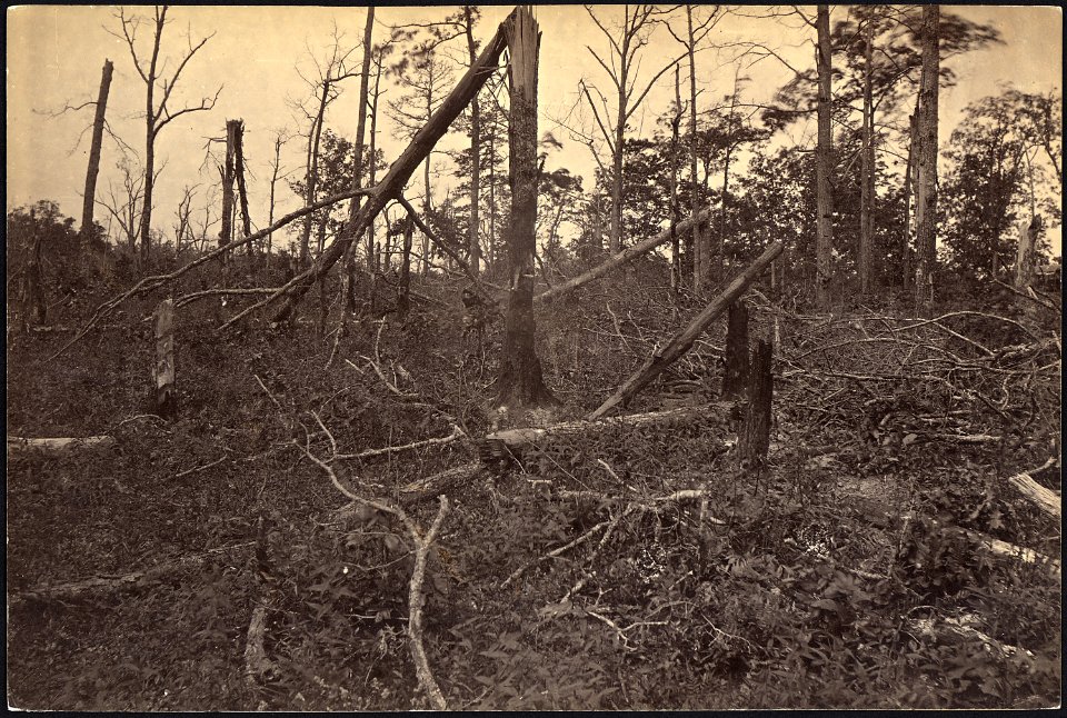 Georgia, New Hope Church, Hell Hole, Battlefield of - NARA - 533400