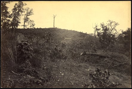 Georgia, Pine Mountain. On the crest of this mountain General L. Polk, U.S.A. was killed by a cannon ball. - NARA - 533403