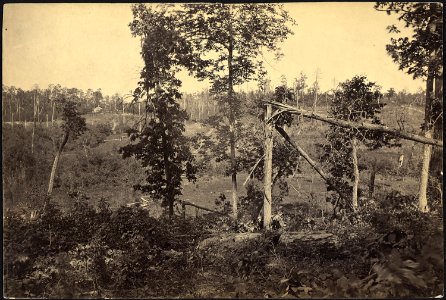 Georgia, Resacca, Battle ground of - NARA - 533393