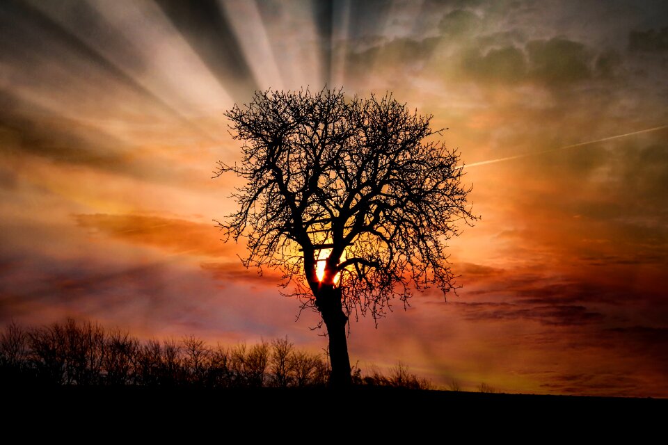 Sun landscape nature