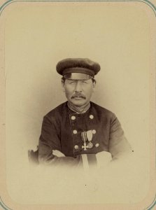 Georgievskie kavalery imieiushchie znaki otlichiia voennago ordena. Za dielo pri Chopan-atinskikh vysotakh 1-go Maia 1868 g. Otst. Shubin LCCN2007680269