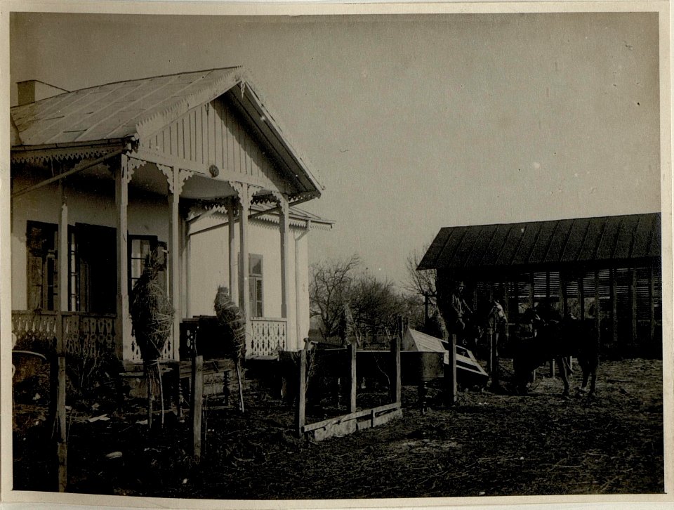 Geplündertes Haus in Nicovani (Rumänien), aufgenommen am 2.1.1917 (BildID 15544979)
