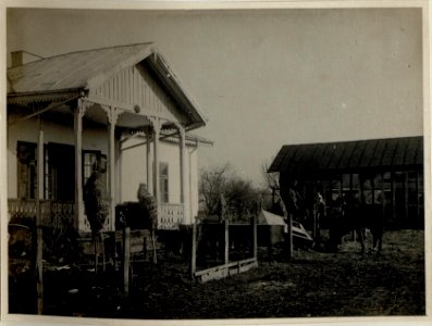 Geplündertes Haus in Nicovani (Rumänien), aufgenommen am 2.1.1917 (BildID 15544979)