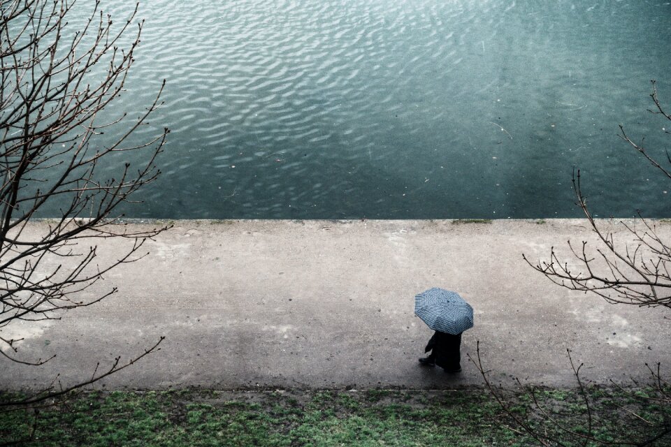 Umbrella people walking photo