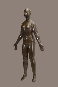German - Anatomical Figure of a Woman - Walters 54317 - Three Quarter Left