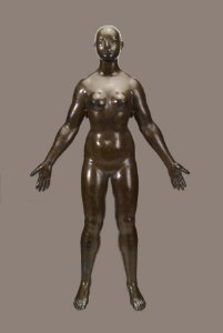 German - Anatomical Figure of a Woman - Walters 54317