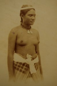 German colonial album 1880s img43 photo