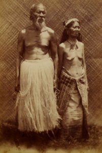 German colonial album 1880s img47