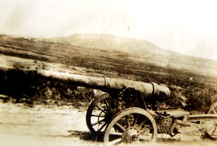 German cannon taken by 168th Infantry, WWI (32010219743)