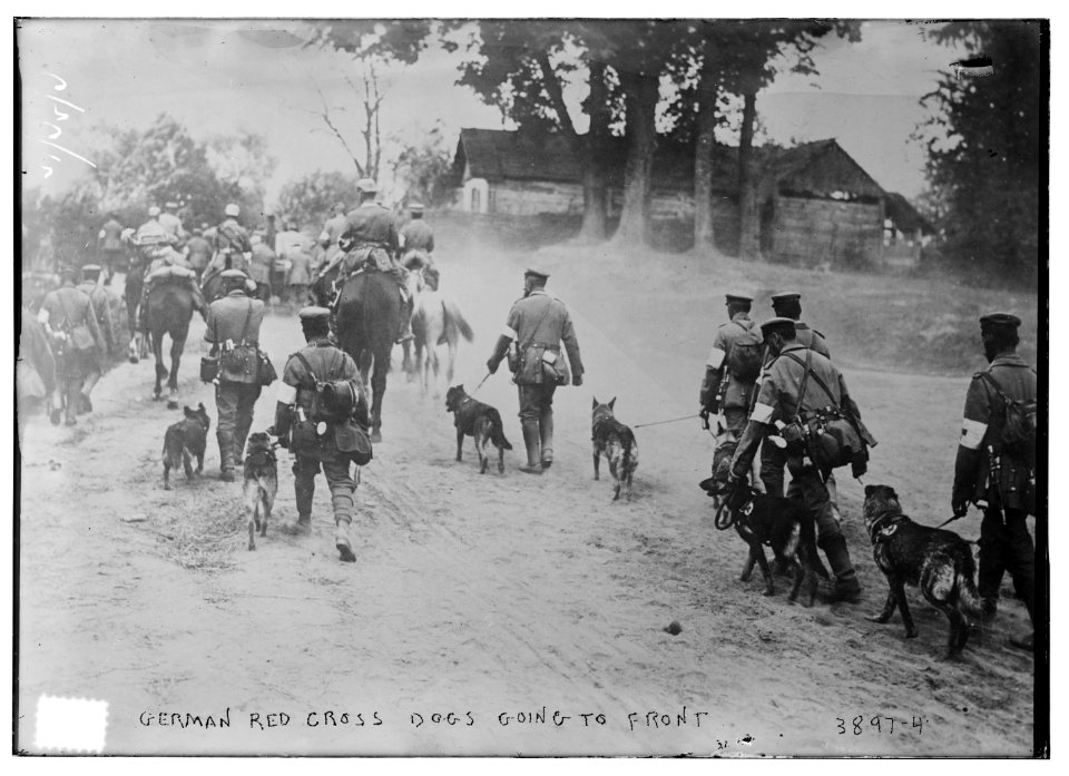German Red Cross Dogs going to front LCCN2014702025